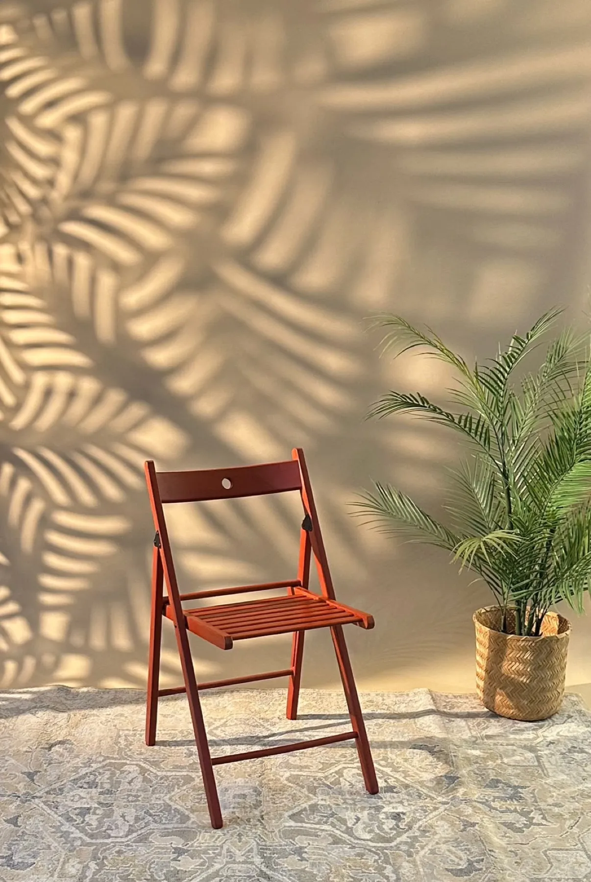 A red folding chair and a palm against a wall of leaf shadows, on the Studio C photography set